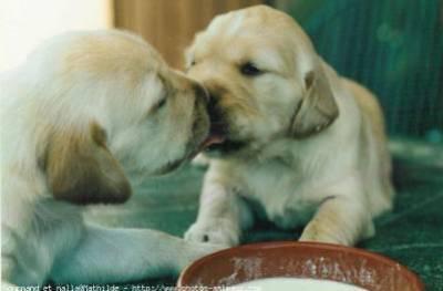 aMoUr